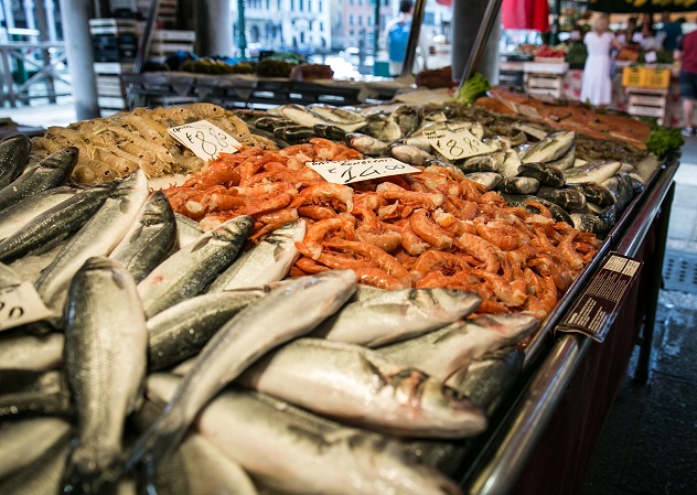 Spcc2014_interna (0)